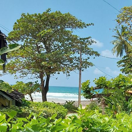 Hotel Pousada Hanalei Itacaré Exteriér fotografie