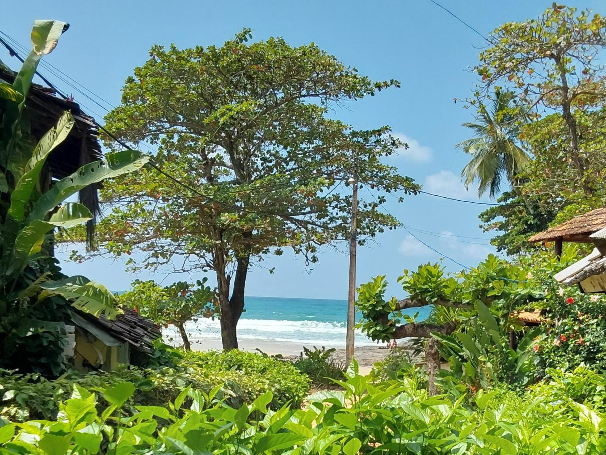 Hotel Pousada Hanalei Itacaré Exteriér fotografie